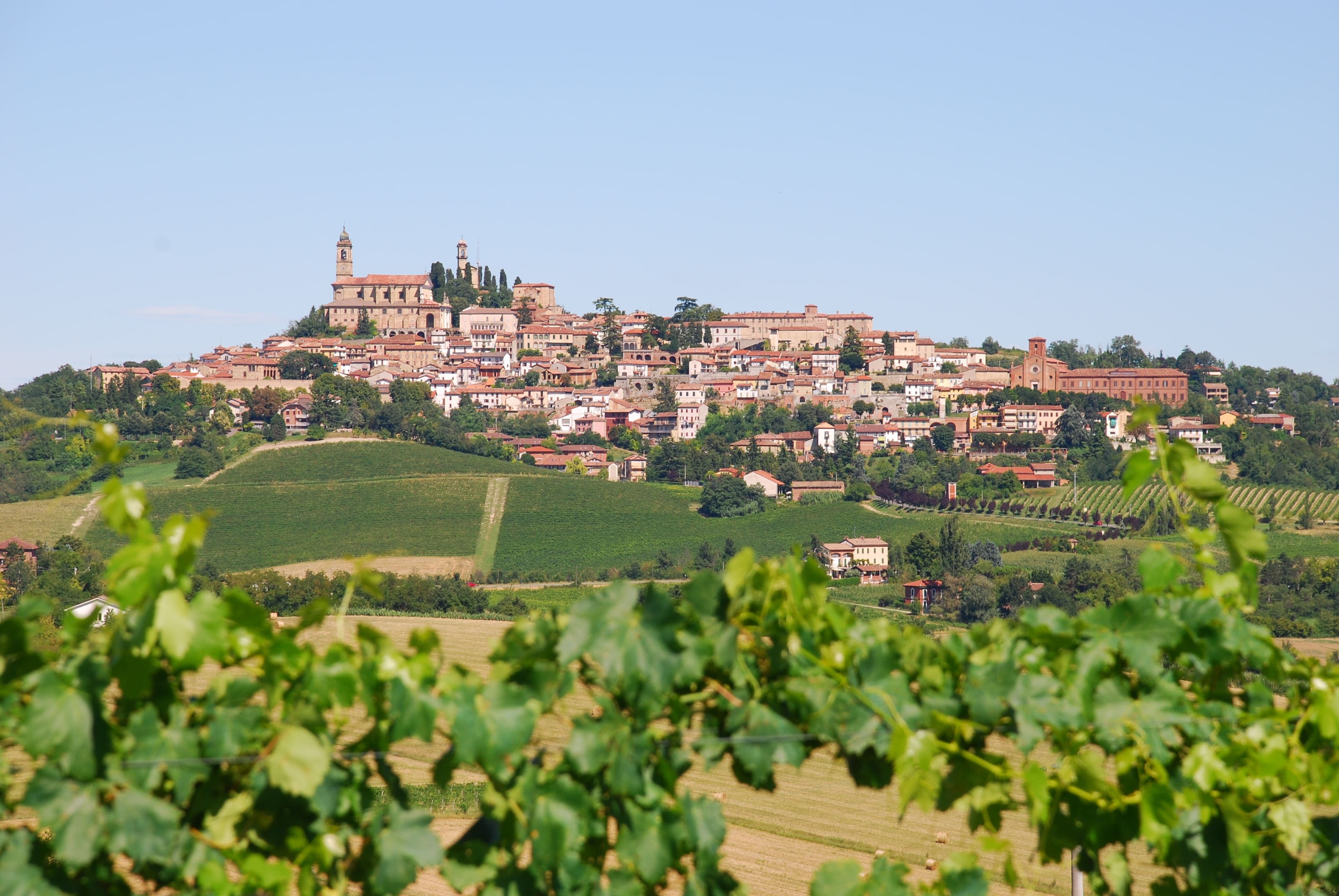Historische Stadt auf einem Hügel, umgeben von grünen Weinbergen und Feldern, unter klarem blauem Himmel.