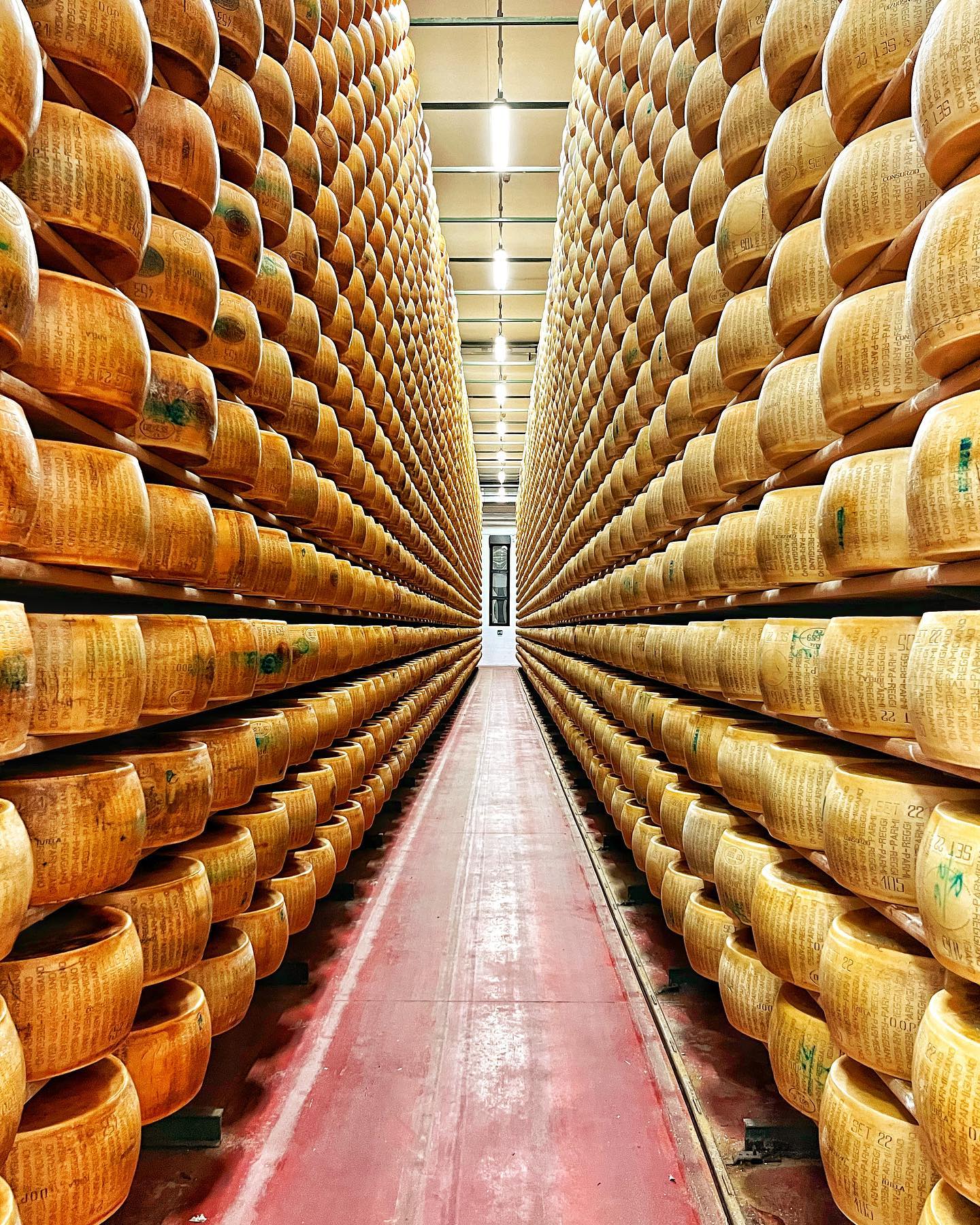 Langer Gang in einem Reifekeller mit hohen Regalen voller Parmigiano Reggiano Käselaibe. Roter Boden, helle…