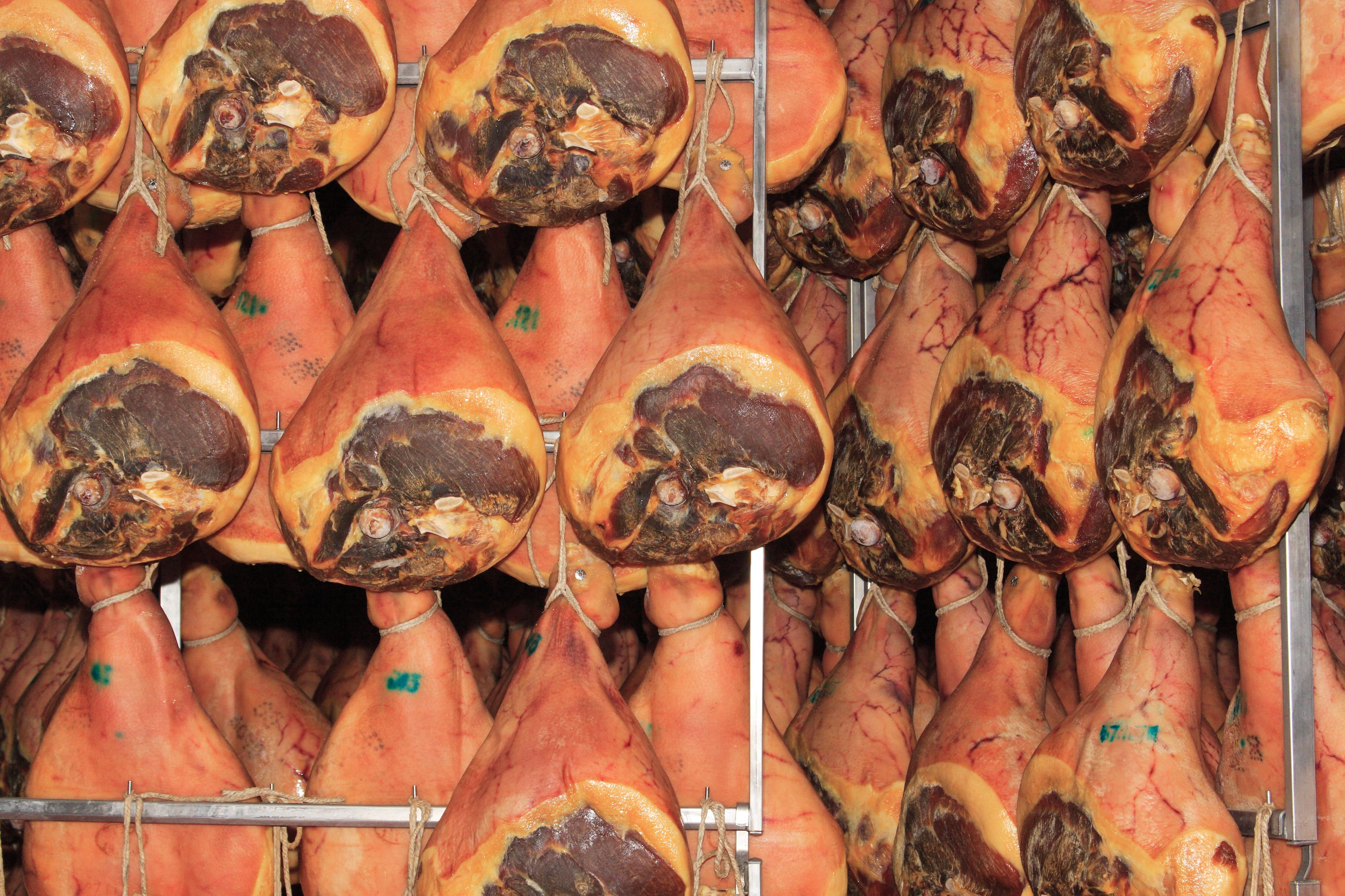 Italienischer Prosciutto Rohschinken während der traditionellen Lufttrocknung in der Reifekammer