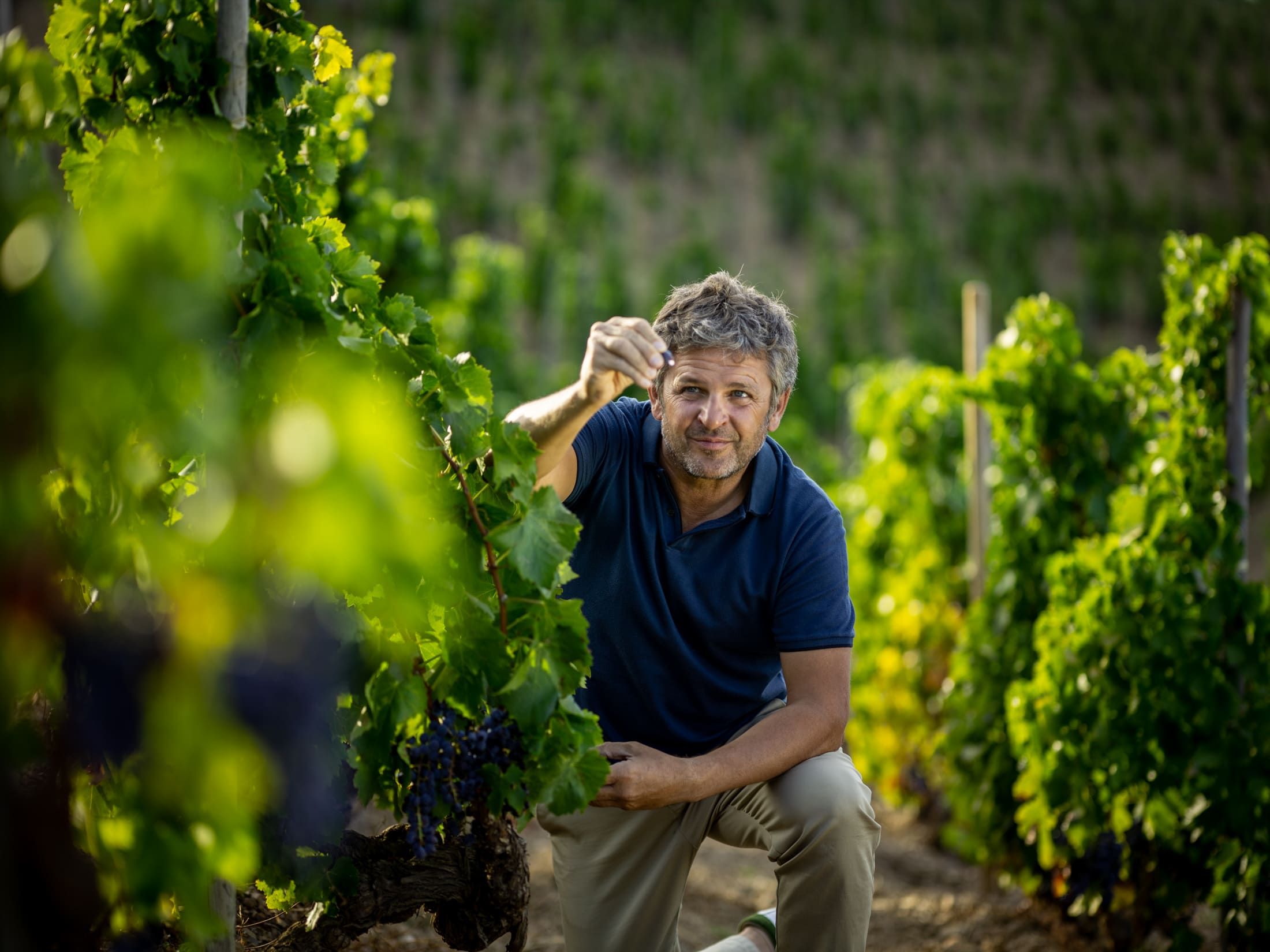 Winzer von Alvaro Palacios im Weinberg – traditionelle Weinproduktion und Pflege der Reben