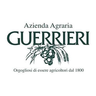 Guerrieri